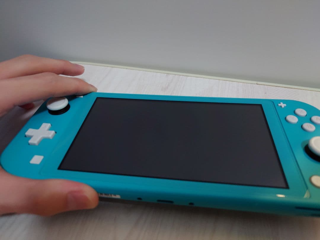 Nintendo Switch Lite 本体+ガラスフィルム+ケース(箱無し)