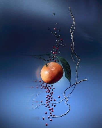 LOUIS VUITTON メテオール オードゥ パルファン 100ml