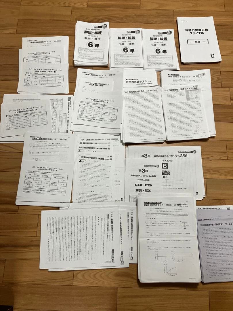 日能研 小6 全国公開模試 実力判定/合格力実践/育成テスト他　2022年実施