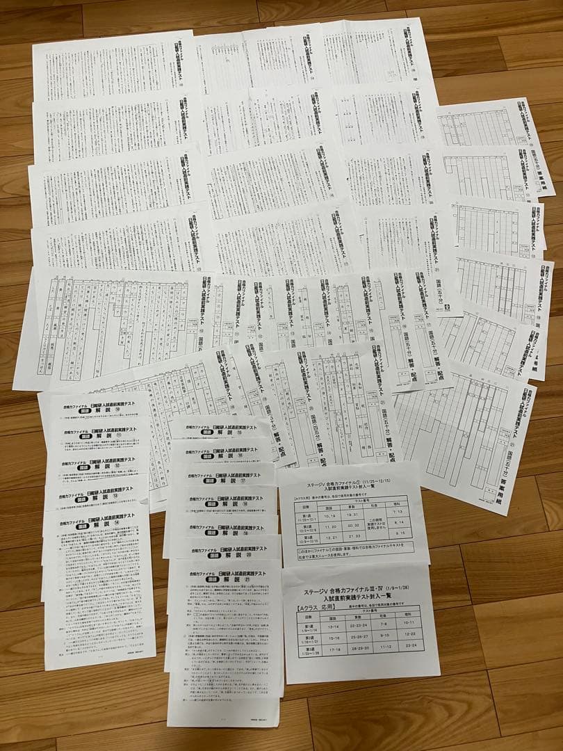 日能研 小6 全国公開模試 実力判定/合格力実践/育成テスト他　2022年実施