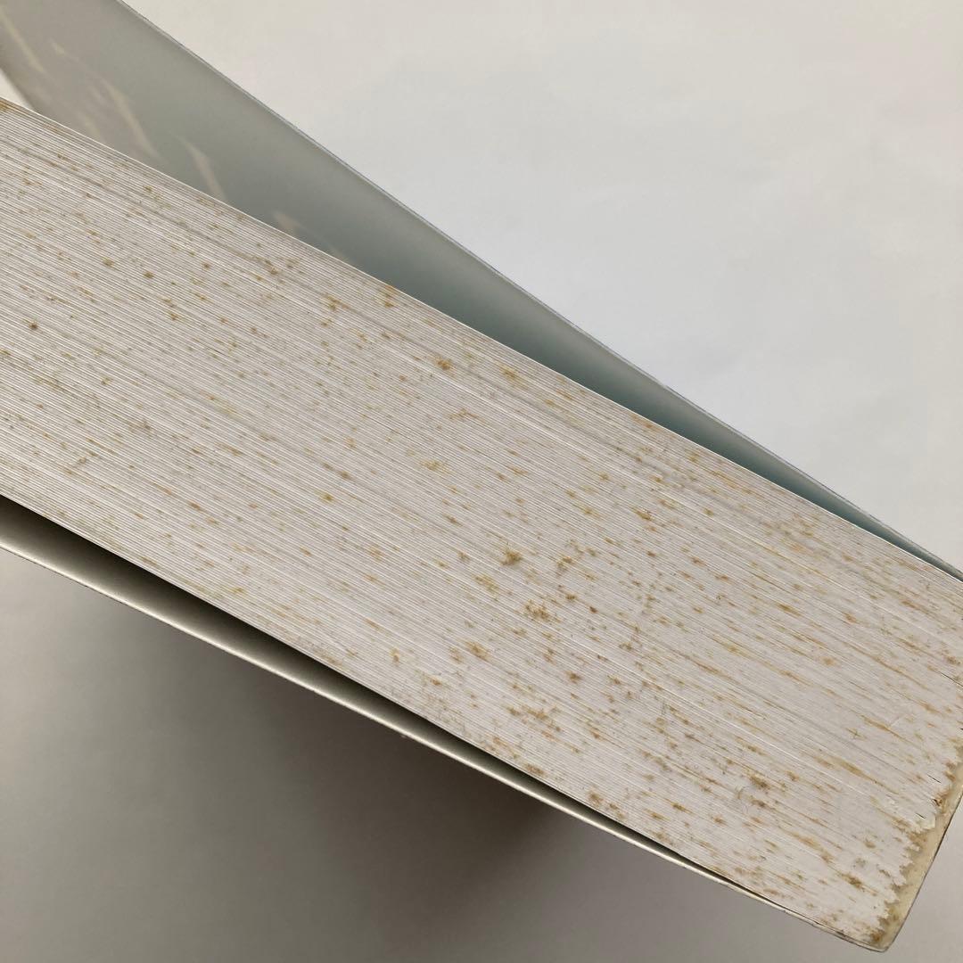 語学・辞書・学習参考書 Fourier Analysis