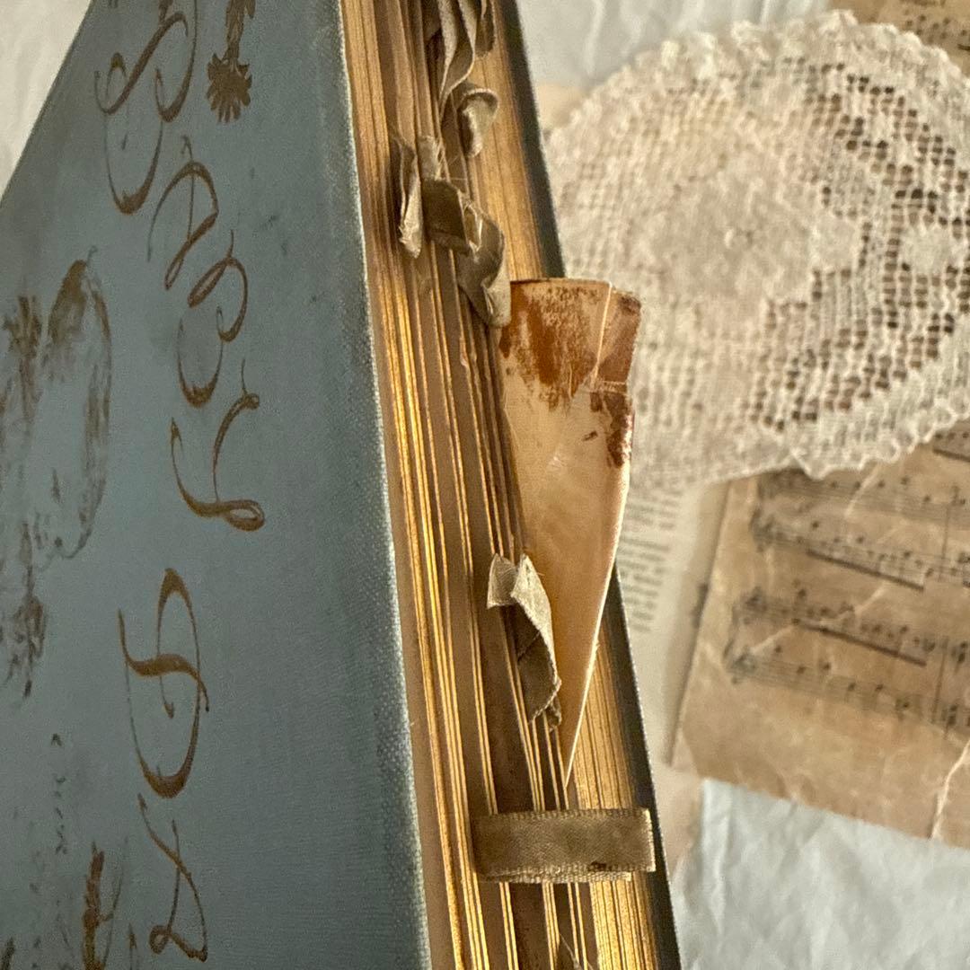 追加写真★アンティーク雑記帳ベビーアルバム洋書ヴィクトリアン　ジャンクジャーナル