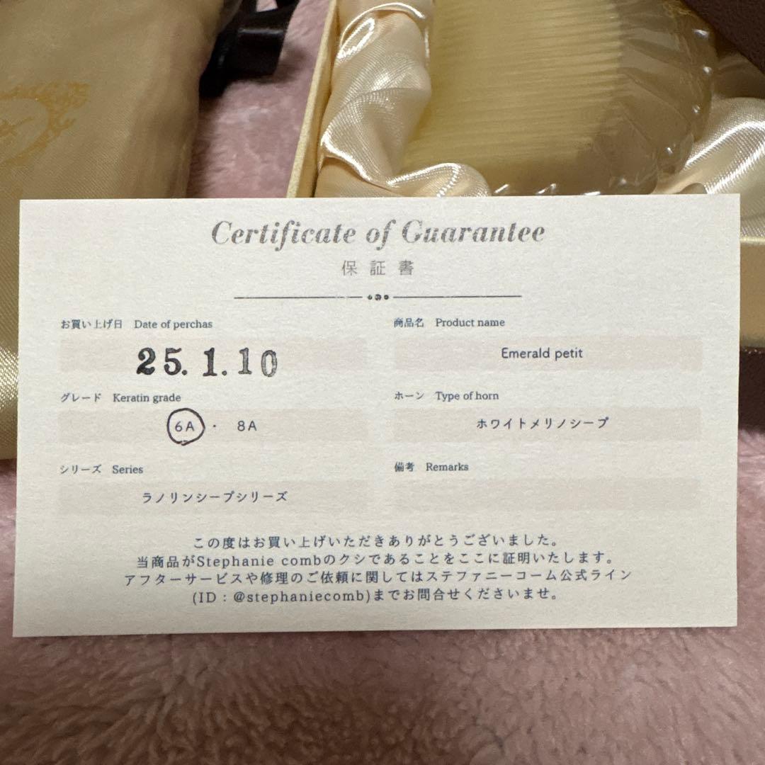 ステファニーコーム　エメラルドプティ6A