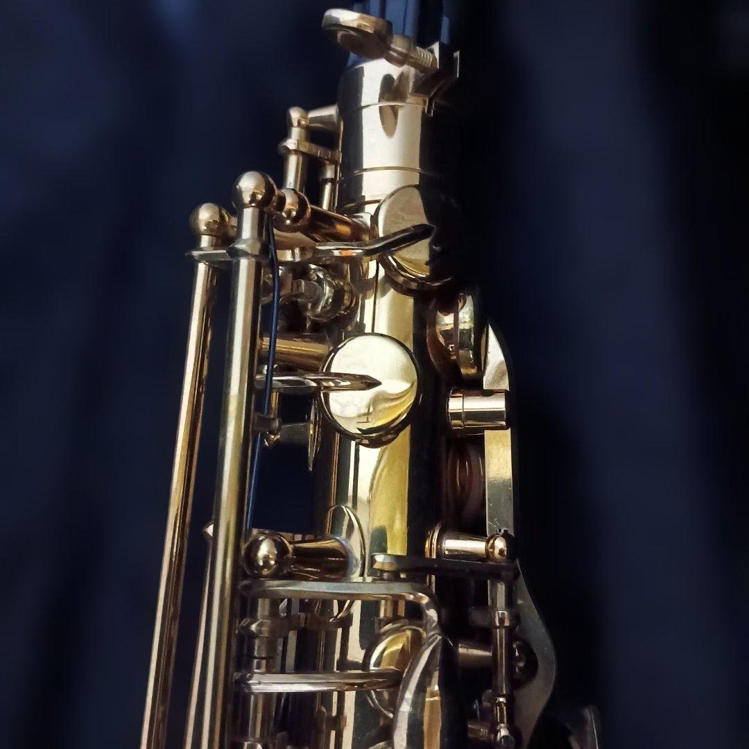 【美品】SELVA アルトサックス　初心者　SAS-100K サクソフォーン