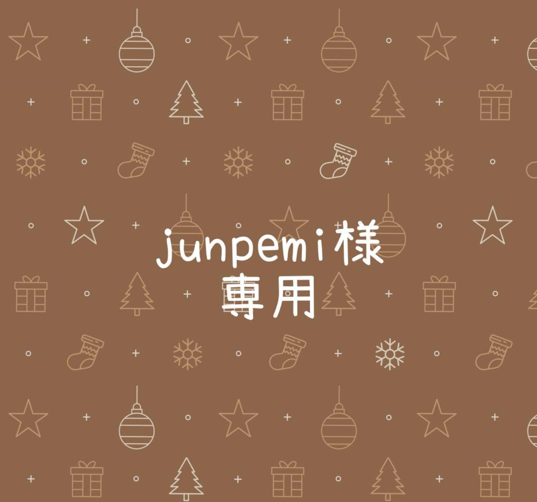 junpemi様•*¨*•.¸♬︎専用ページ