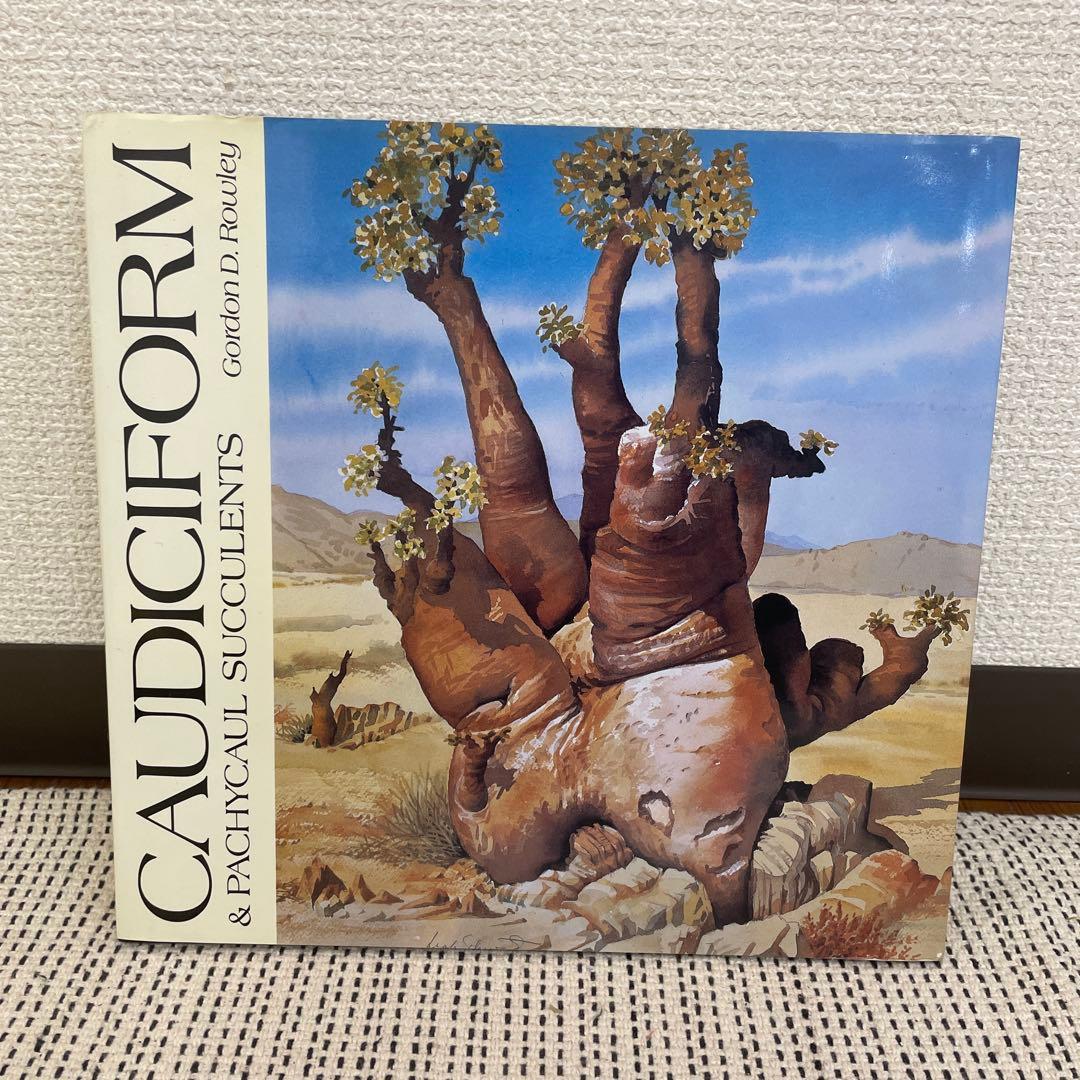 Caudiciform and Pachycaul Succulents 洋書