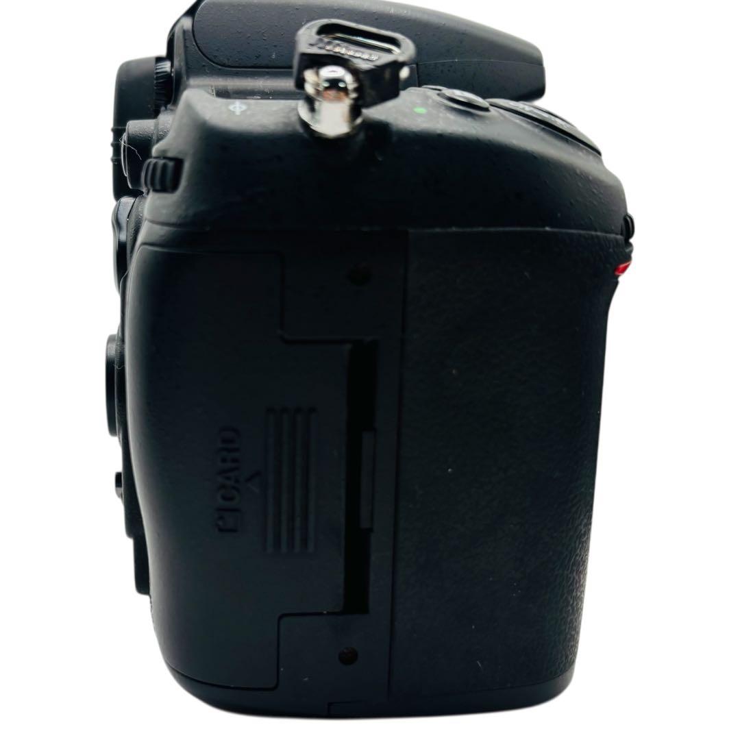 ニコン Nikon D7000 SIGMA 望遠ズームレンズレンズキット