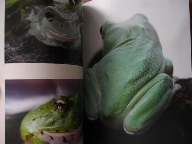 PHOTO ZOO BOOK KOHNOSUKE SAKAZAKI　坂崎幸之助