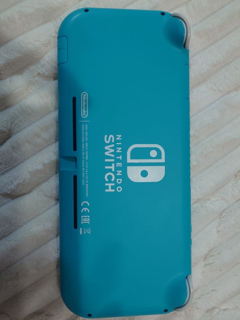 Nintendo Switch Lite ターコイズ スイッチライト　ケース付