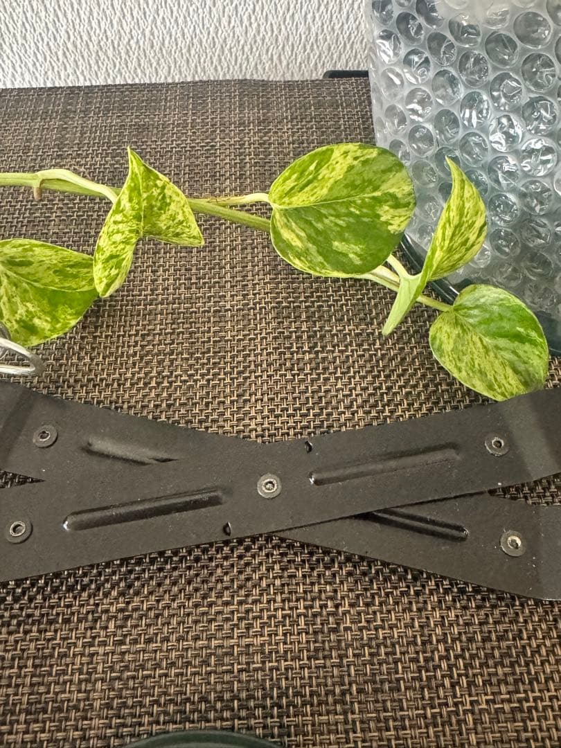 Dietzミレニアムランタン クッカーセット