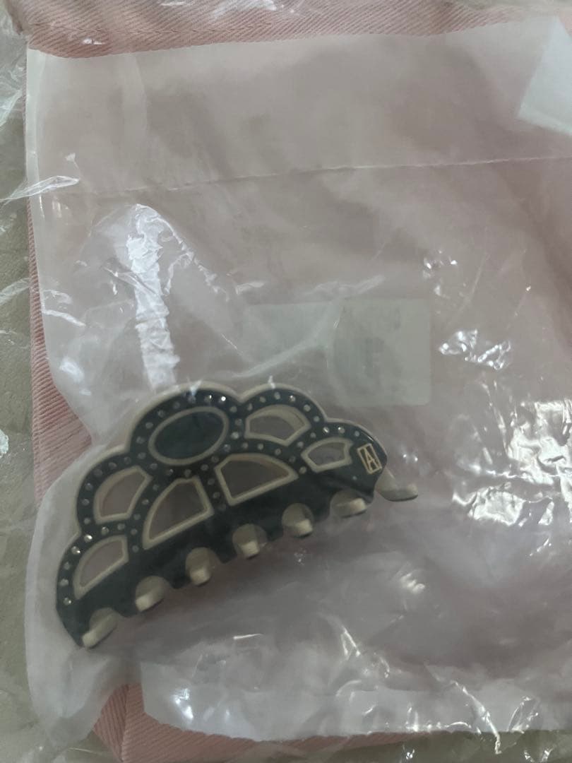 も*ー様 ALEXANDRE DE PARIS ヘアクリップ Sサイズセット