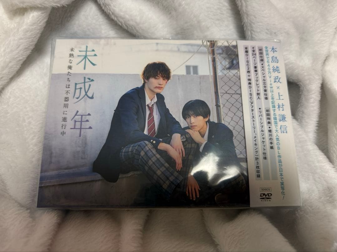 未成年～未熟な俺たちは不器用に進行中～ DVD BOX