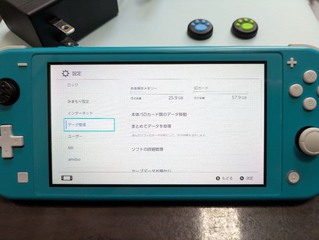 NintendoSwitchLite（ターコイズ）