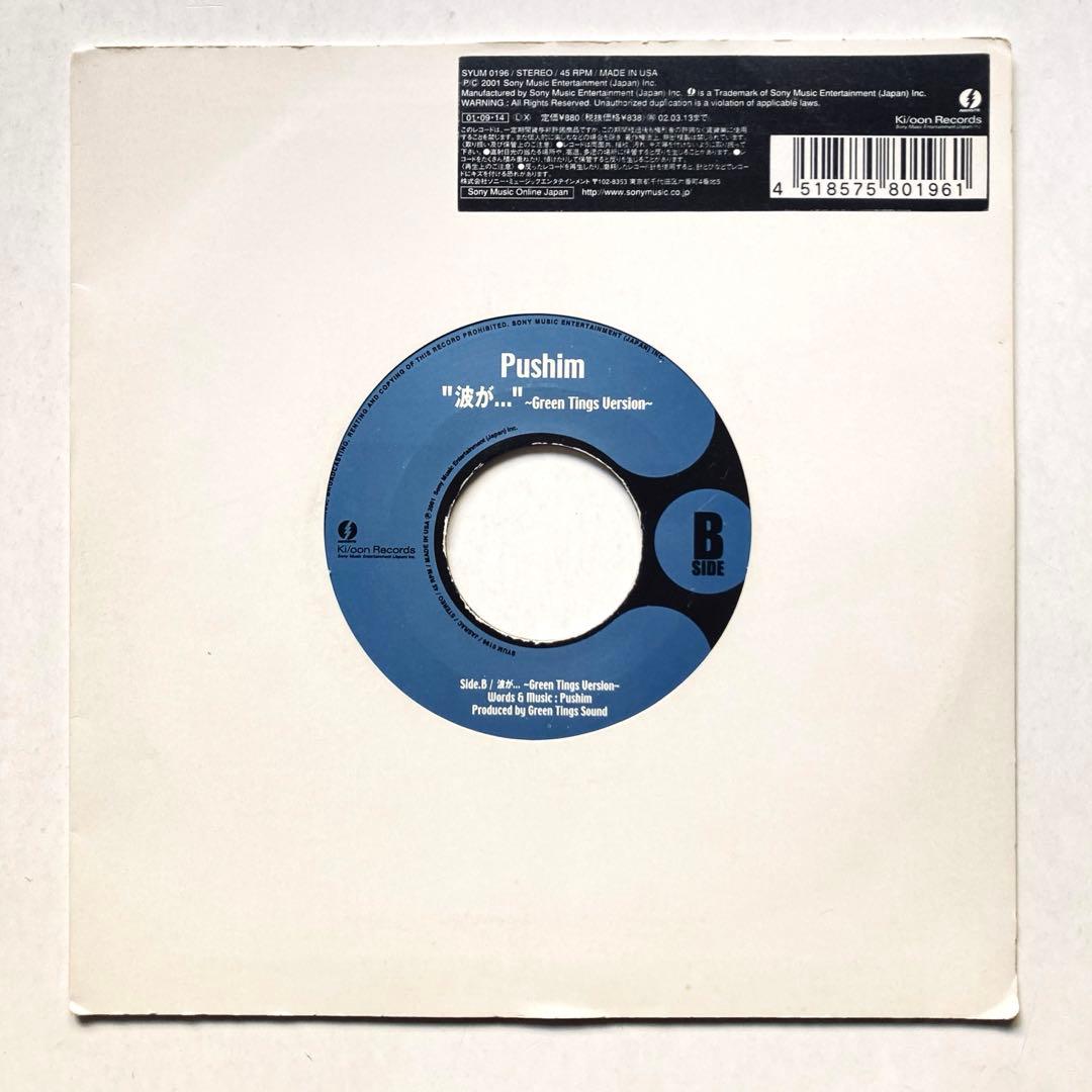 レゲエ　PUSHIM 2枚/Candy feat. UA/悲しくてやりきれない