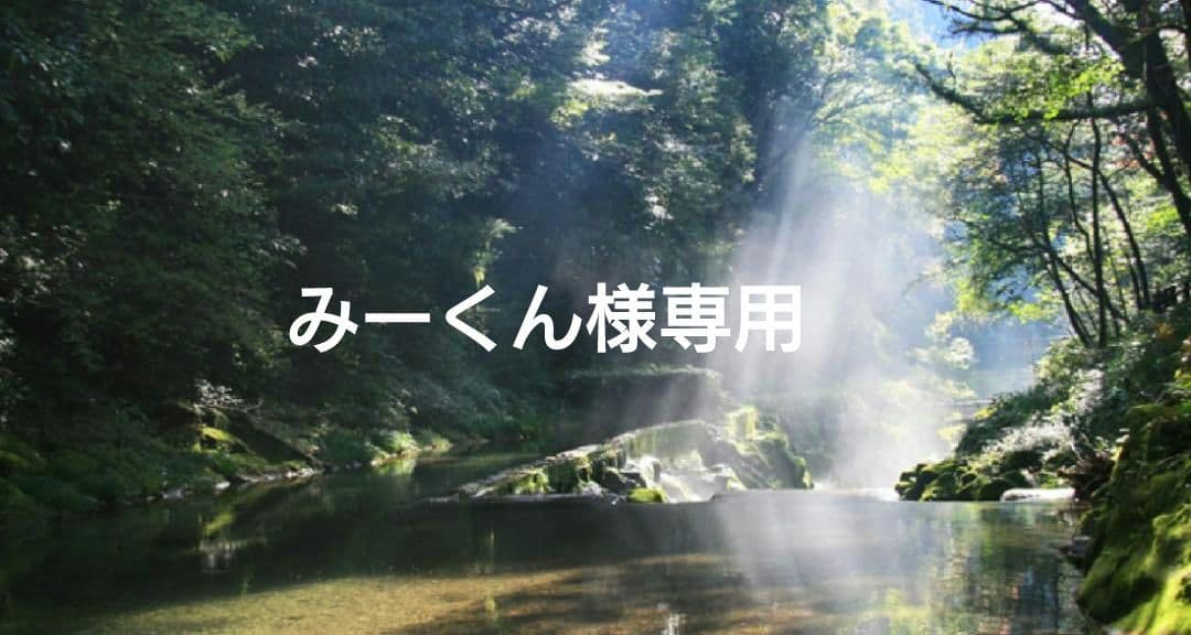 みーくん✨特典付電磁波防止✨本物CMCペンダントUSA版　1本セット