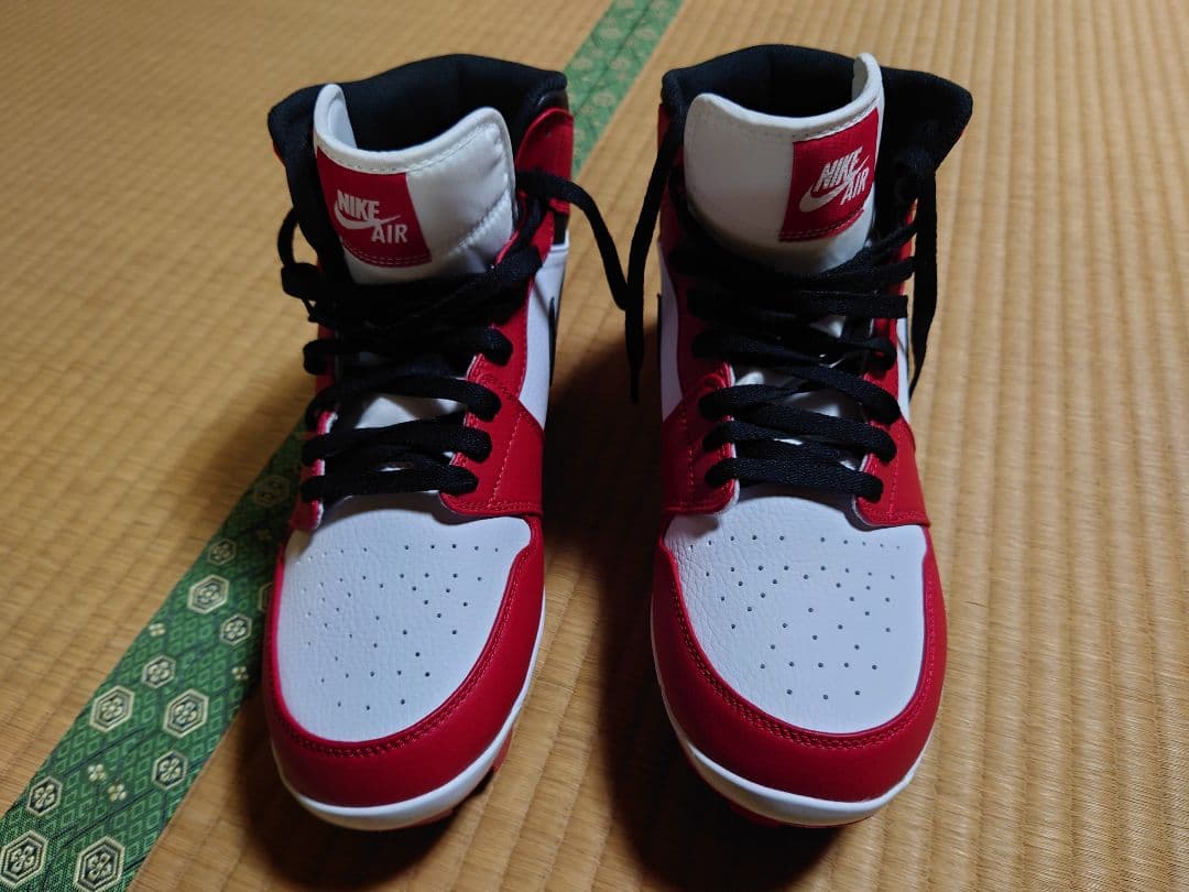 エアジョーダン1 レトロ スパイク28cm