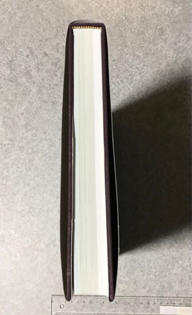 ヒマラヤの東 山岳地図帳 East of the Himalaya Mount…