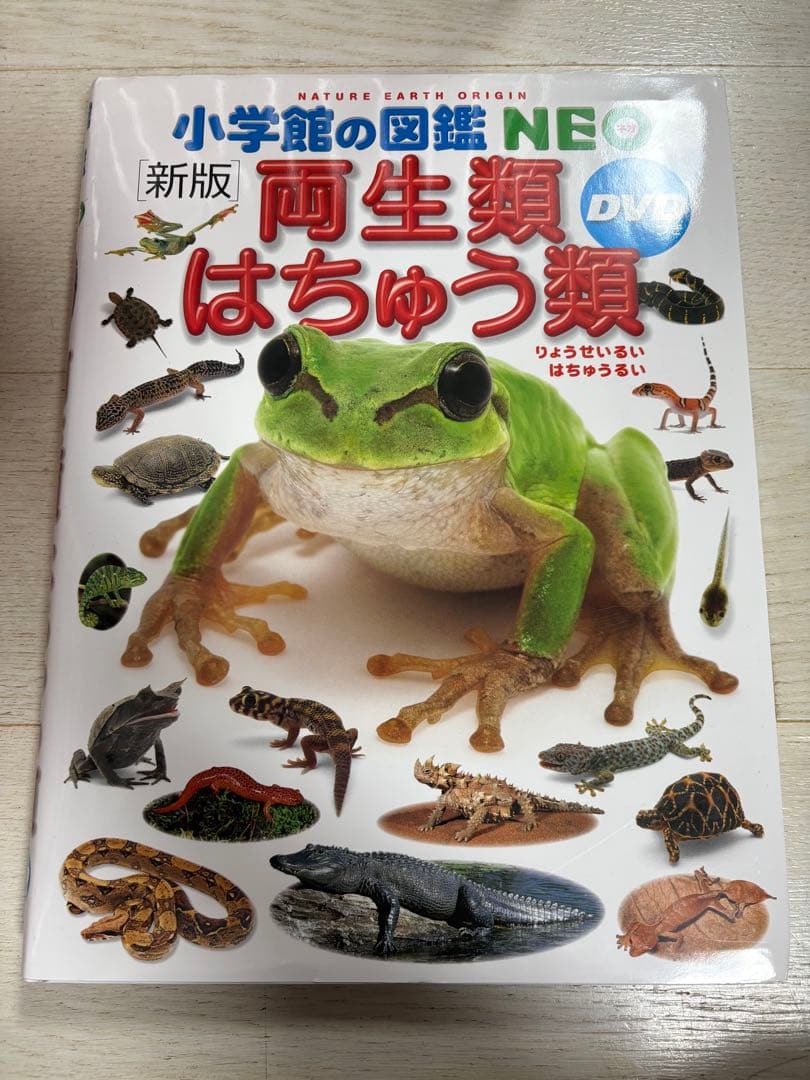 ★小学館の図鑑NEO★全12巻セット★