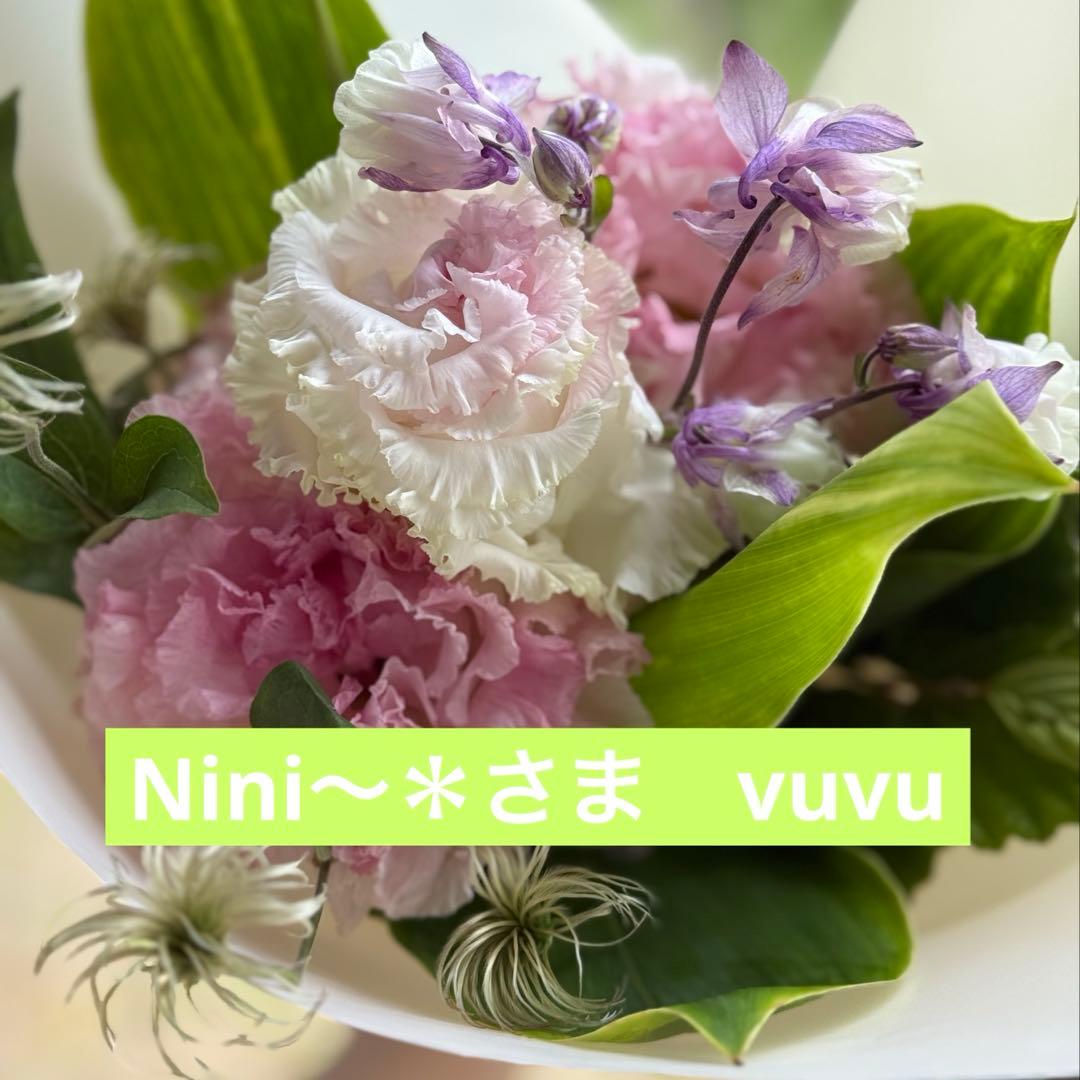 ☆Nini〜＊ さま☆プラチナvuvu