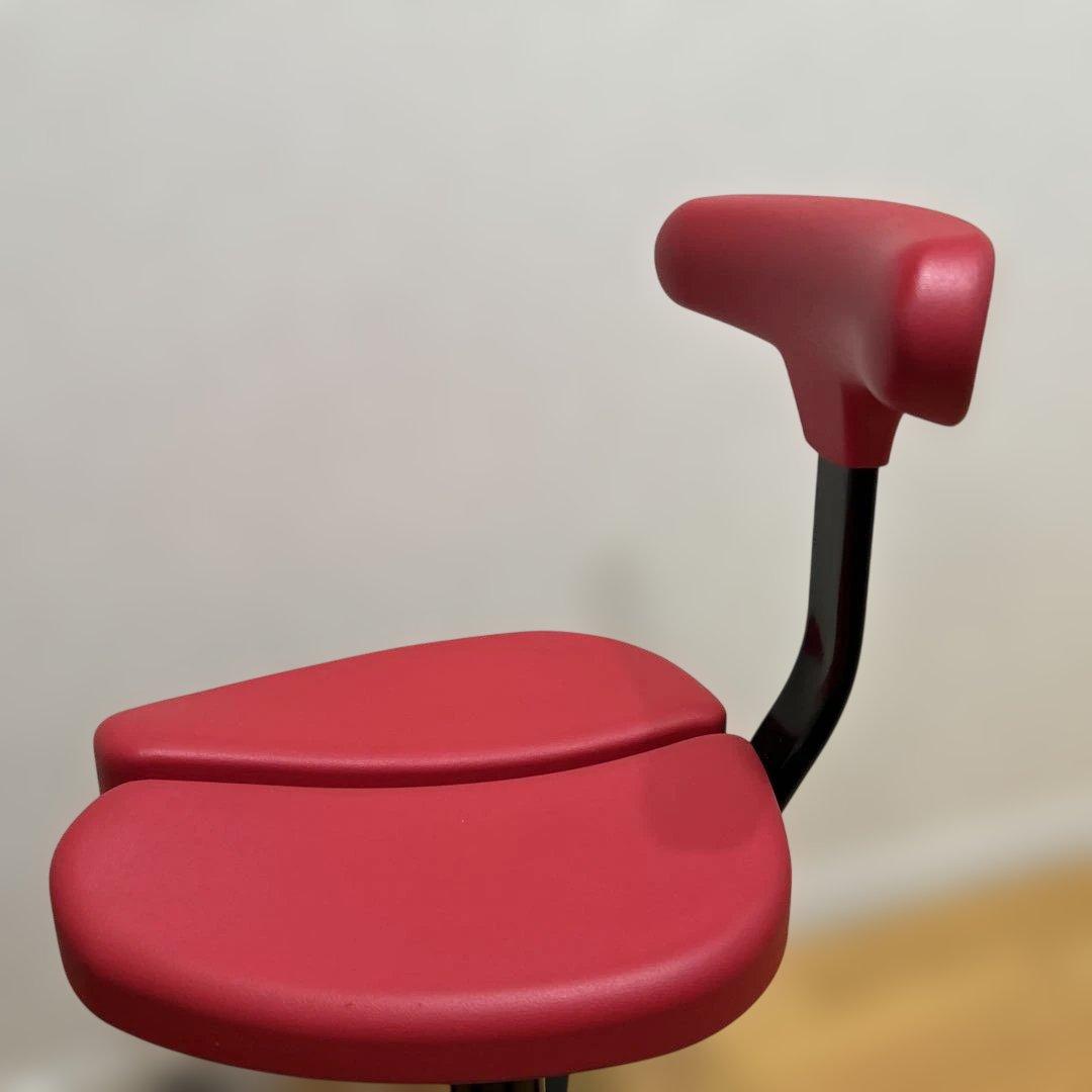 ayur-chair アユールチェア　オクトパス　キャスター　赤