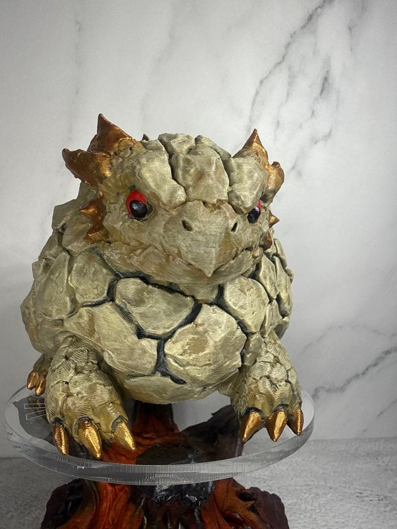 ディオスコレア亀甲竜　　亀甲龍