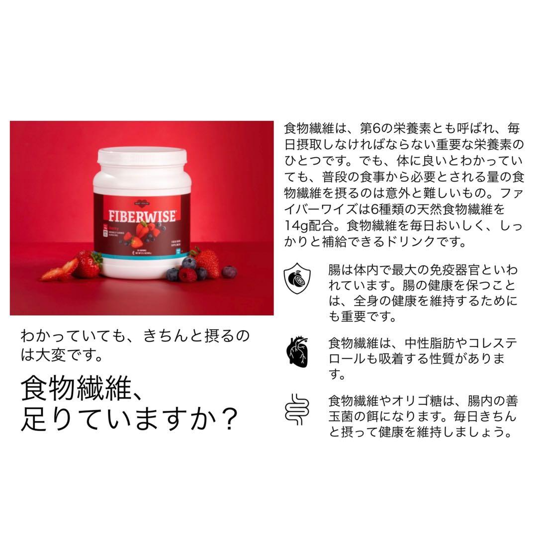 【新品】メラルーカ ファイバーワイズ 糖類無添加 ベリー フレーバー〔２個〕