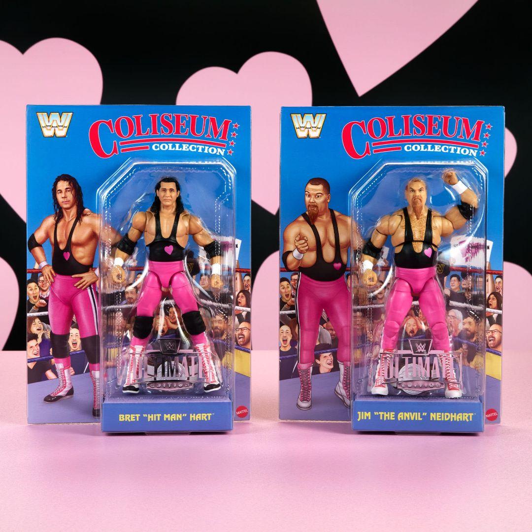 スポーツ WWE Hart Foundation Action Figure 2-Pack