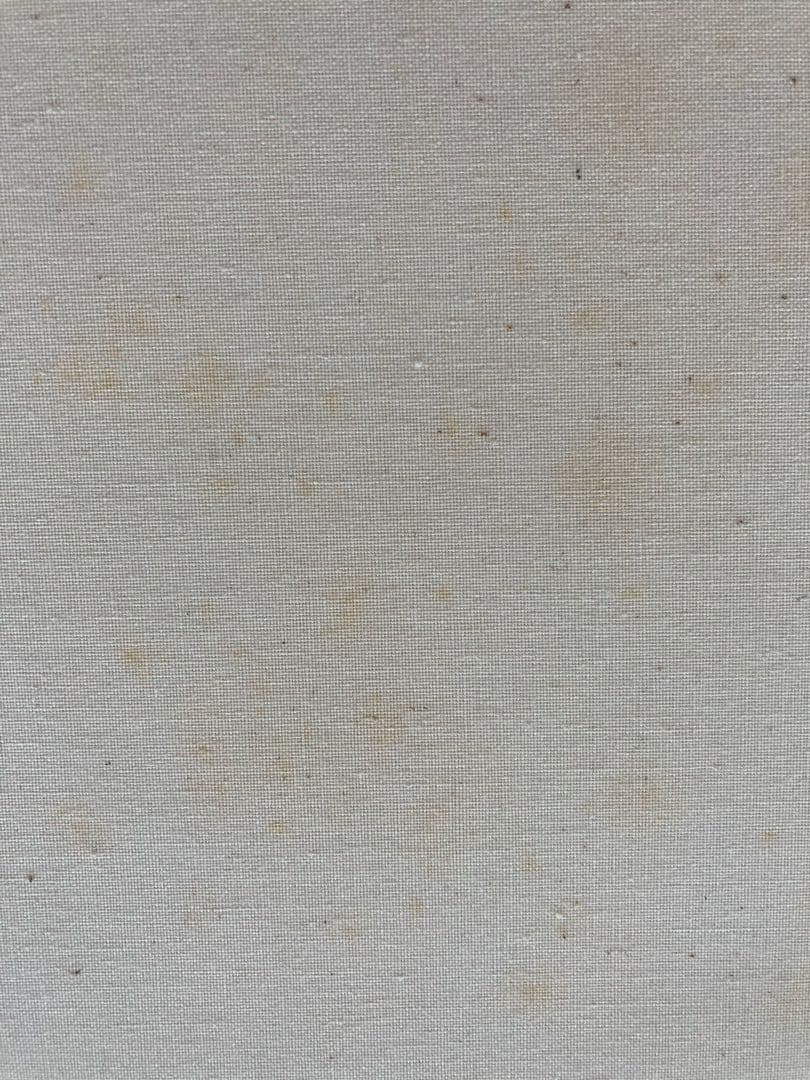 フランス　ヴィンテージ　ポスター　ルフォール・オプノ　額縁込み