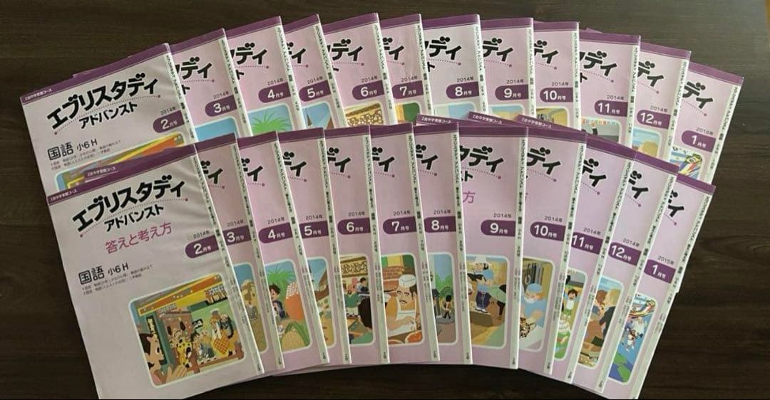 Z会　エブリスタディ　アドバンスト　国語、社会　まとめ売り