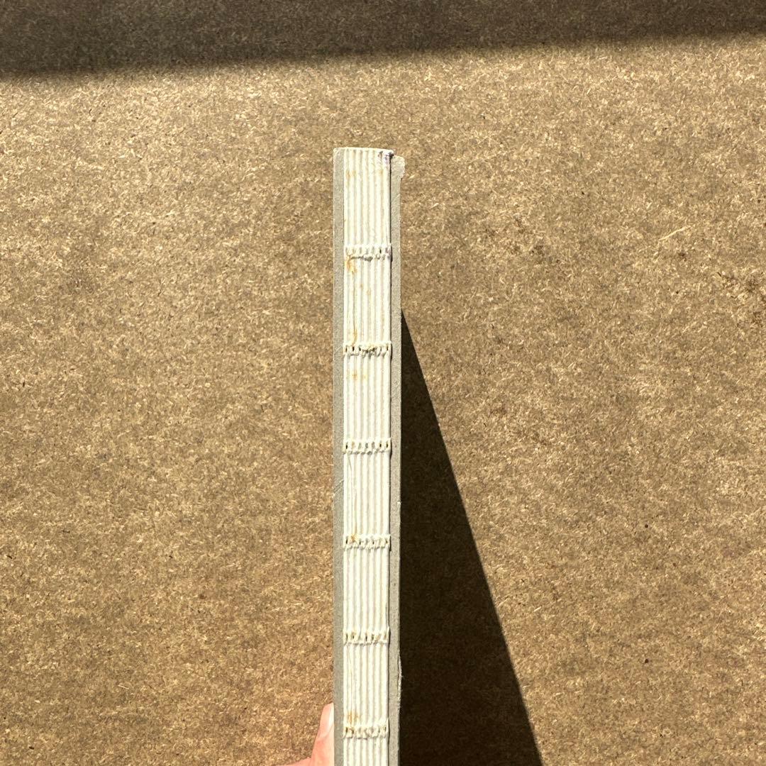 Michaël Borremans The Advantage