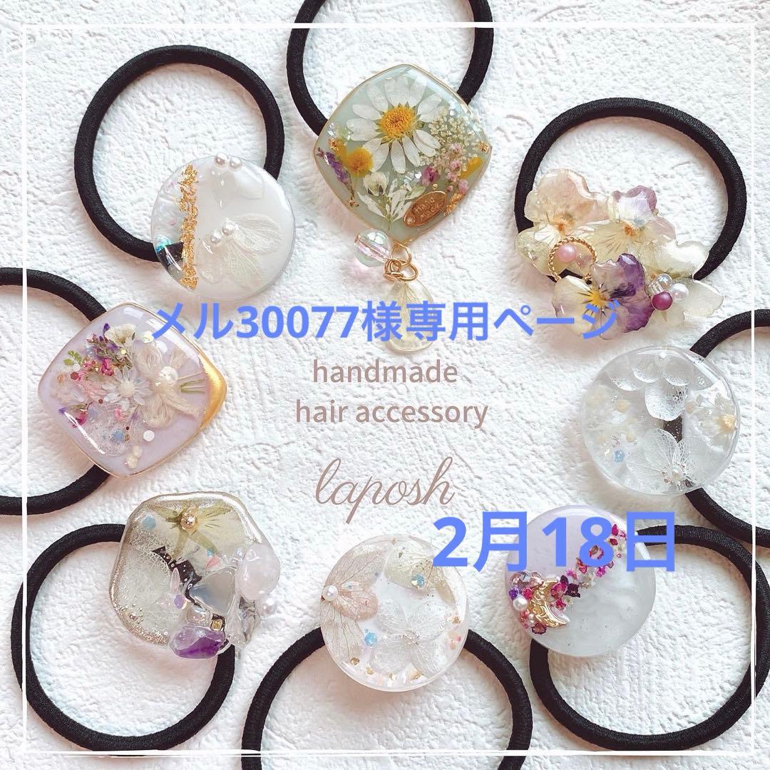 メル30077ページ　レジンヘアゴム 9点
