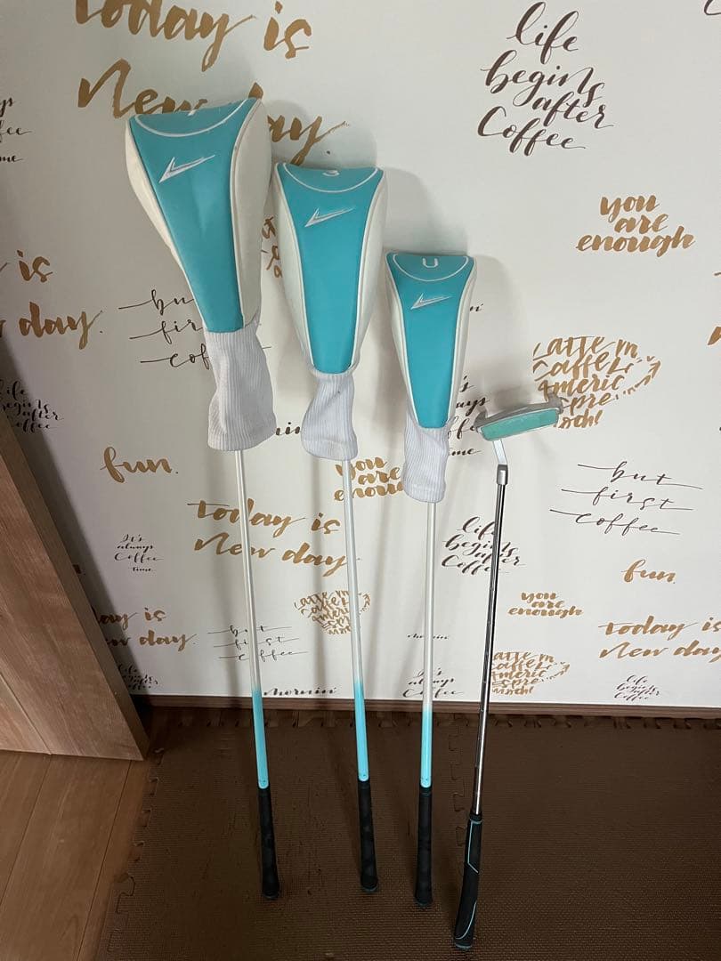 WORLD EAGLE レディース ゴルフクラブセット 12本