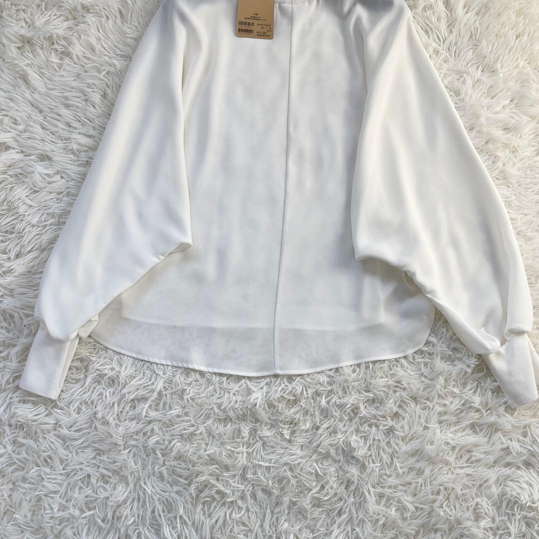 ◎ハッチマル◎専用 タグ付　ビアズリー ニットコンビドルマンブラウス　Fサイズ