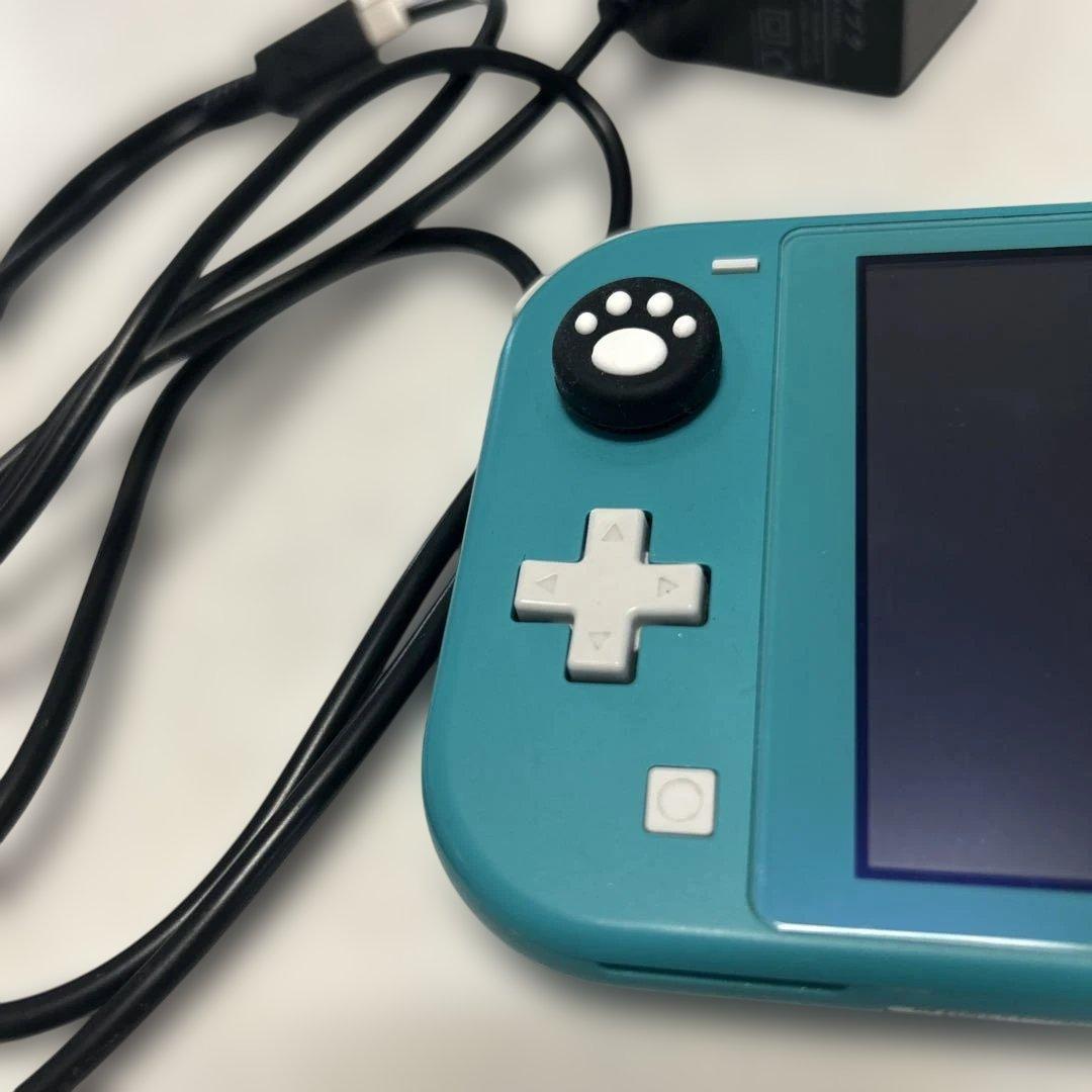 Switch lite本体 電源アダプタ