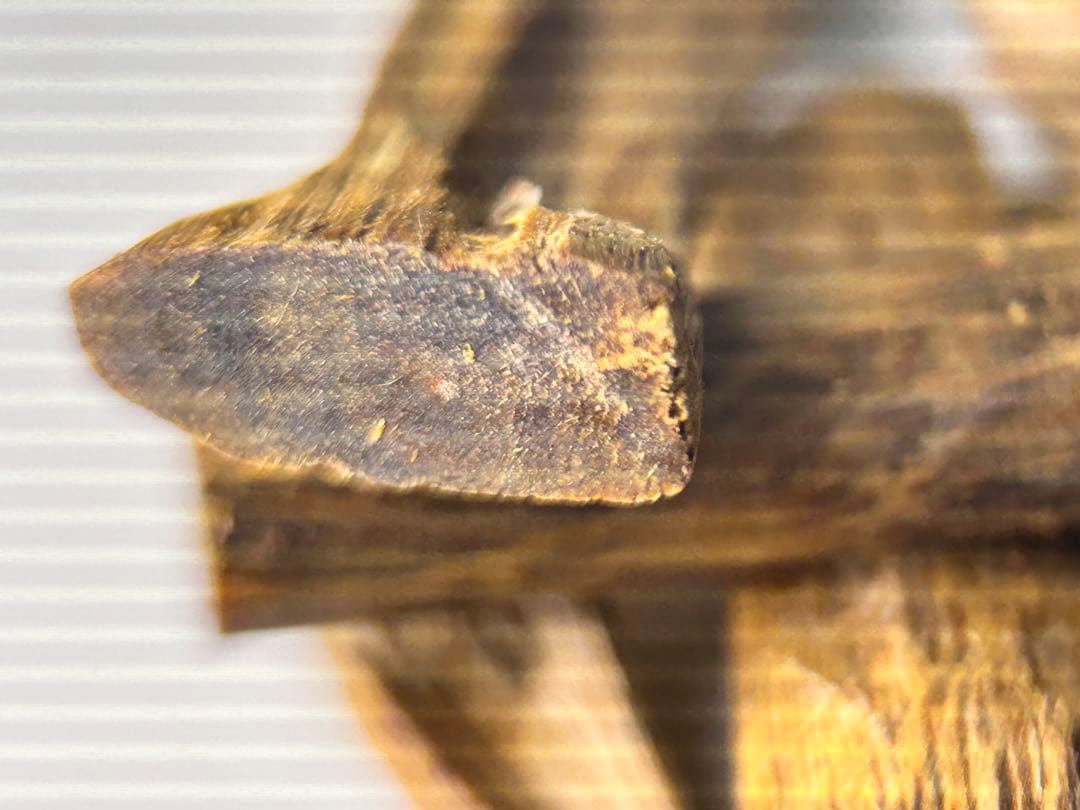 お香 天然沈香 六国五味聞香用 伽羅 香木 3-S-10.589