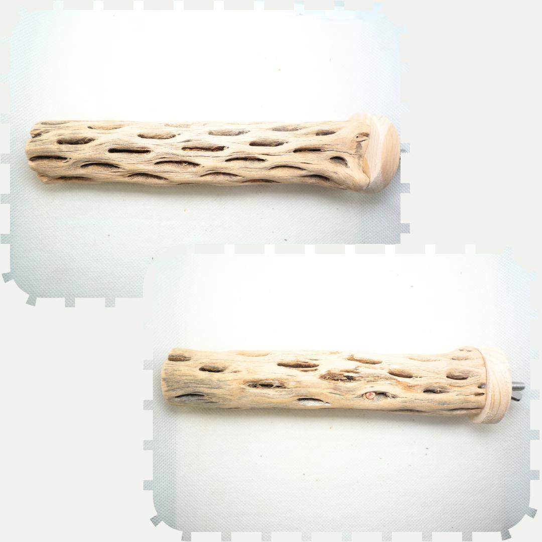 user_60ebcae4　止まり木　カクタススケルトン　パーチ