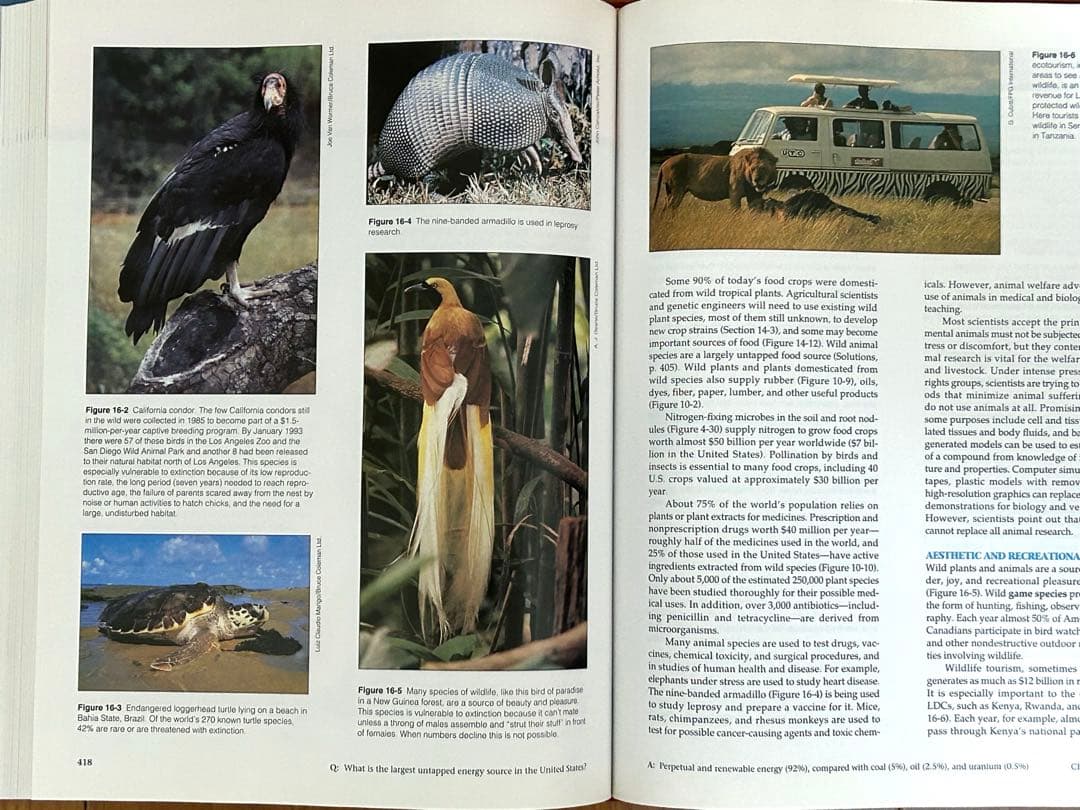 洋書 LIVING IN THE ENVIRONMENT G.Tyler Miller