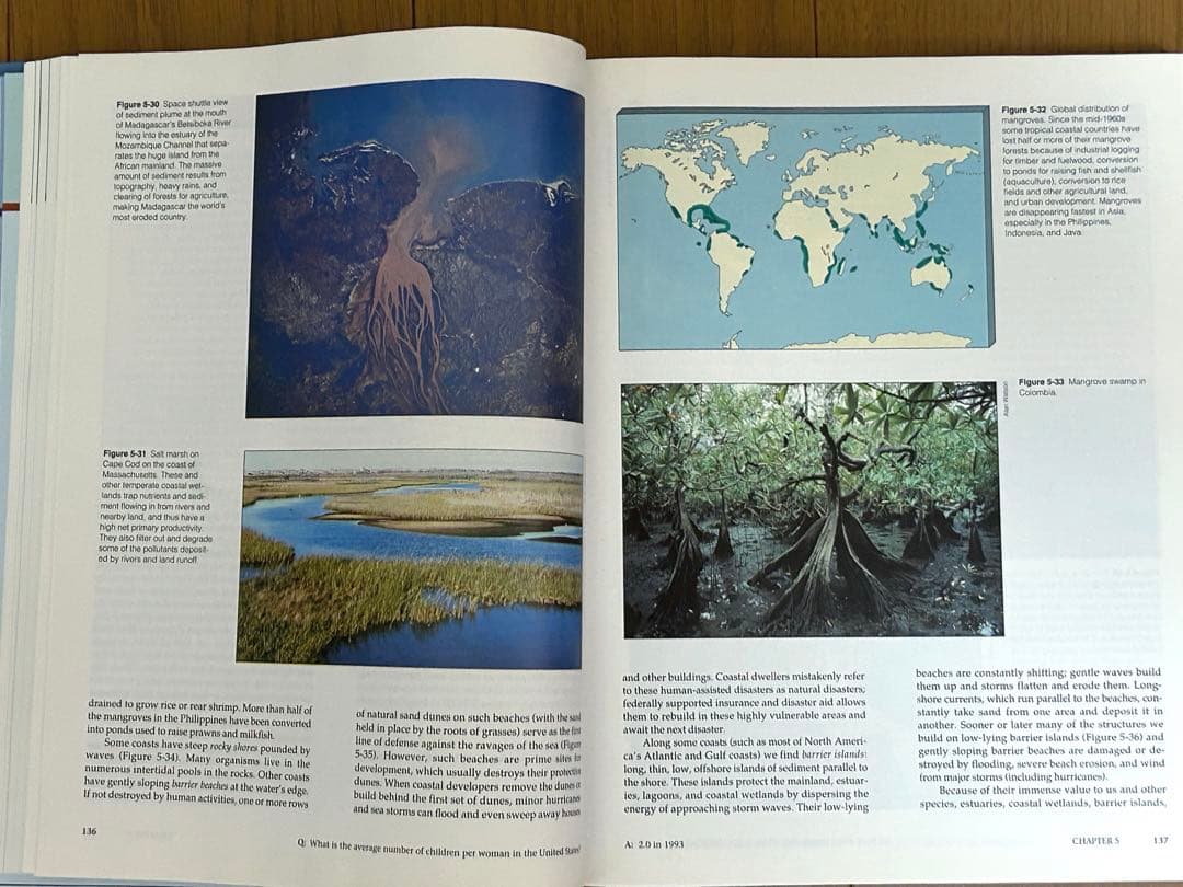 洋書 LIVING IN THE ENVIRONMENT G.Tyler Miller