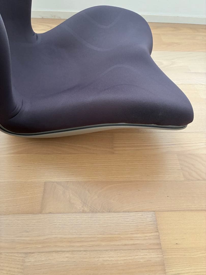 MTG Style PREMIUM 座椅子 骨盤矯正サポート スタイル プレミア