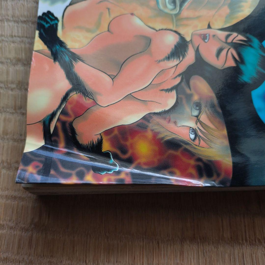 永井豪 デビルマンレディー(全17巻 完結)