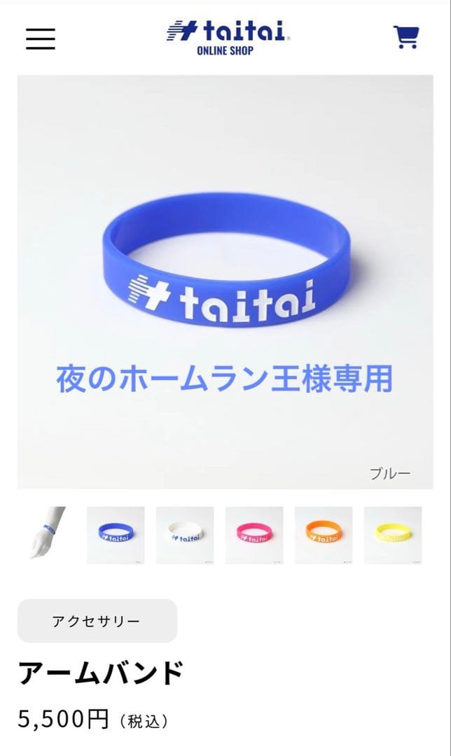 アームバンドとフットバンドセット