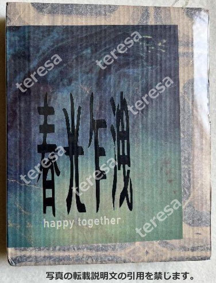 未開封新品　春光乍洩ブエノスアイレス写真集　レスリー・チャン/トニー・レオン