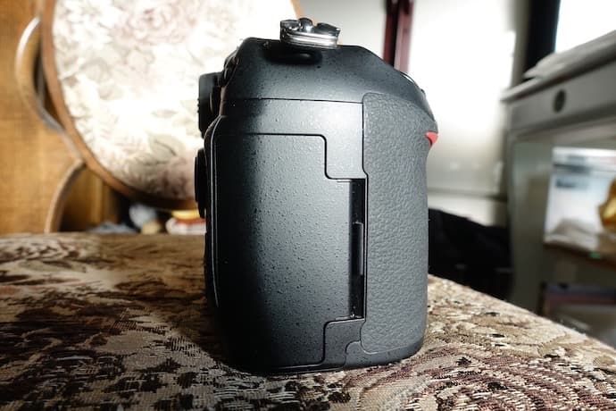 ニコン D200 CCD名機 実写作例有り