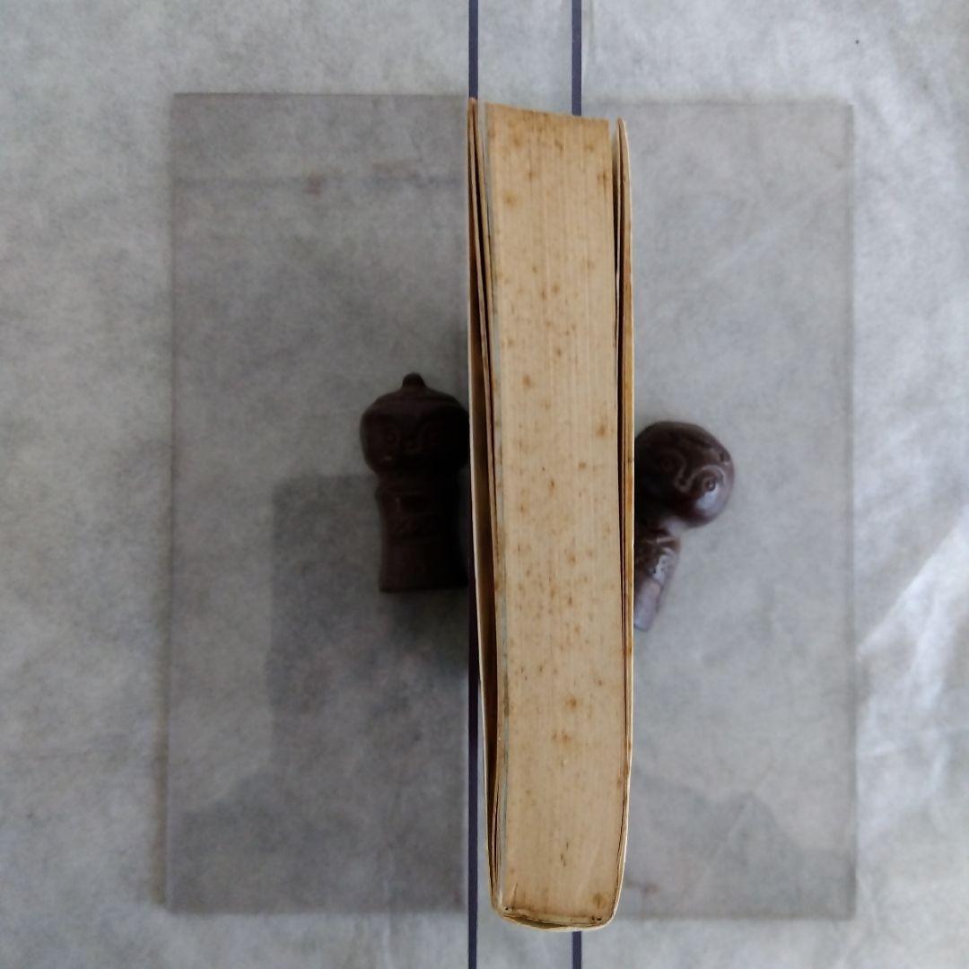 1年でシングルになる本 驚異の日大ゴルフ部方式