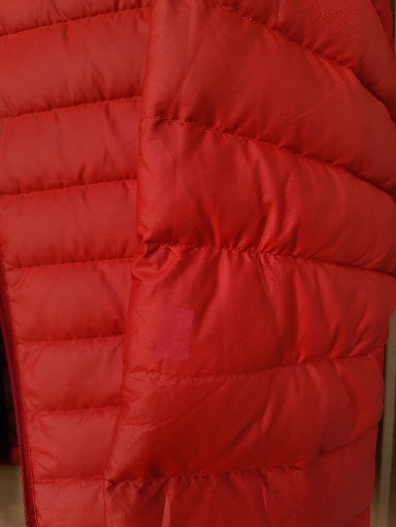 patagonia パタゴニア ダウン