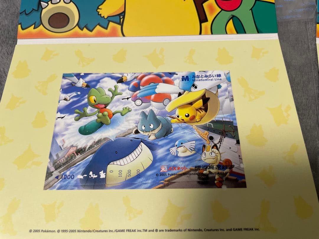 【新品】ポケモンカード　ポケパーク　ポケモンパスネット　2005年　希少