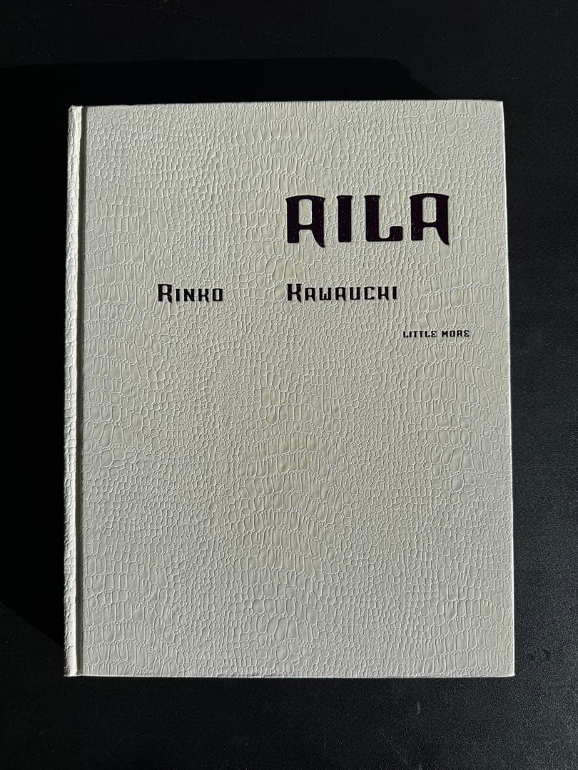 川内倫子　写真集　AILA