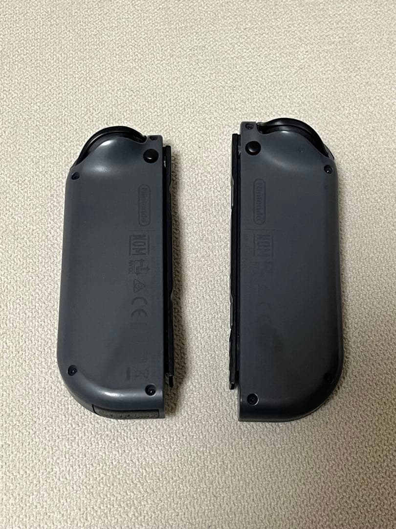 Nintendo Switch 本体 + キャリングケース