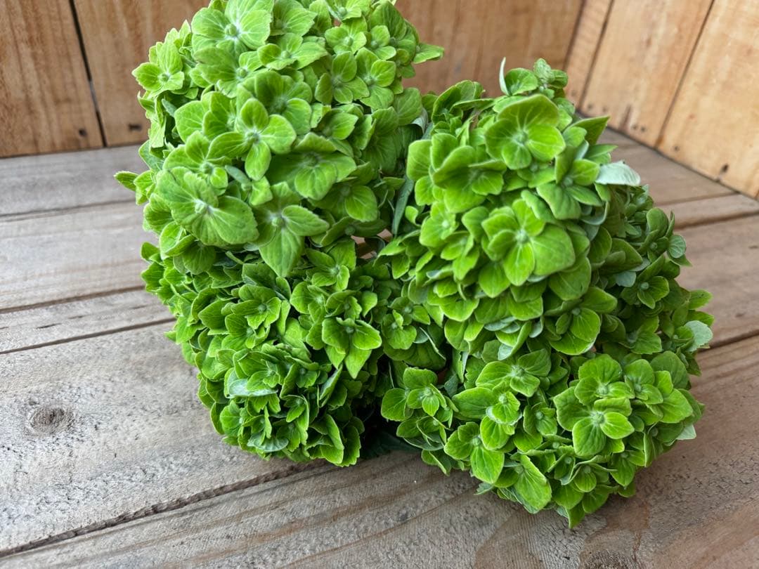 みう様 リクエスト 3点 まとめ商品