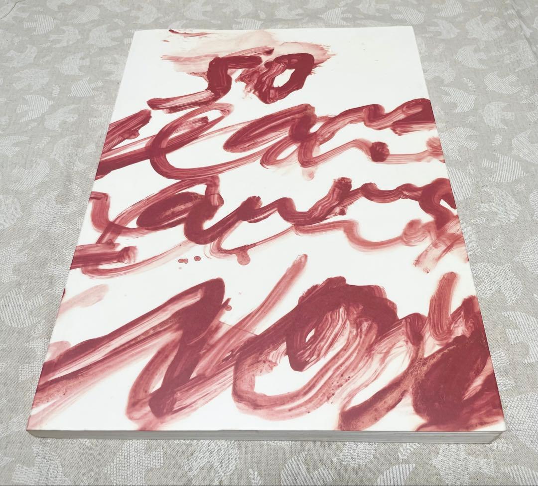 サイ・トゥオンブリー　紙の作品　50年の軌跡　展覧会　図録